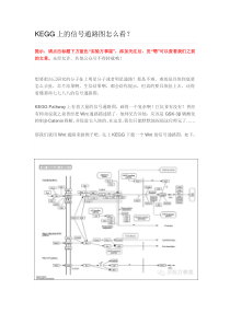 KEGG上的信号通路图怎么看