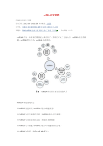 miRNA的研究策略