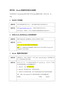 Oracle数据库系统安全配置手册