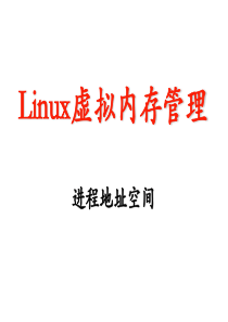 Linux的进程地址空间管理