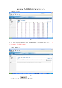 LINUX系统挂载IPSAN方法-NAS-实际操作步骤