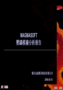 magma分析报告.