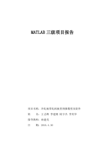 MATLAB三级项目报告