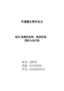 MERS病毒的结构致病机理预防与治疗手段