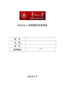 Moldflow实验报告贵州大学机械界面操作划分网格熔接痕