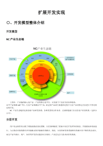 NC水平产品二次扩展开发指导文档