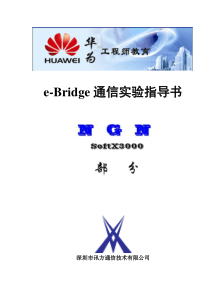 NGN指导书(郑鑫修改)