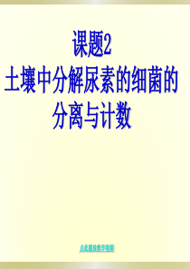 土壤中分解尿素的细菌的分离和计数