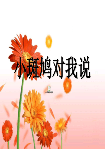 三年级上册音乐课件-小斑鸠对我说-｜花城版