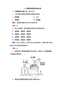 41基因指导蛋白质的合成