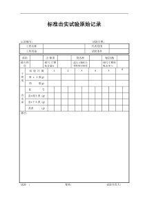 8-试验原始记录