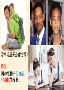 81_遗传规律