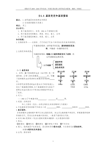 442基因突变和基因重组(第二课时)_20120601072926656