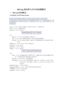 8021ag协议和Y1731协议帧格式