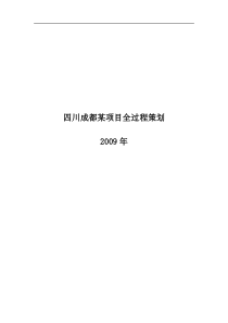 8122009四川成都某项目全过程策划