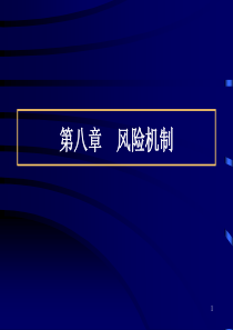 8第八章风险机制-1