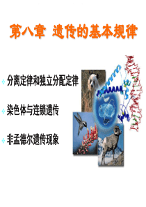 普通生物学复习资料第六讲