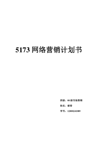 5173网络营销计划书