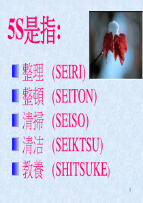 5s演讲稿[1]