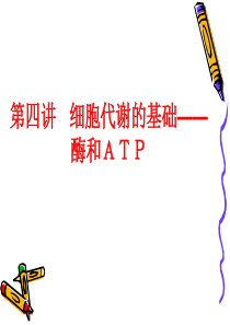 最新人教版高中生物必修五章《酶和ATP》课件