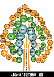 6.六年级数学下册