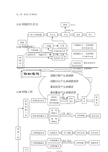 8高考生物复习资料