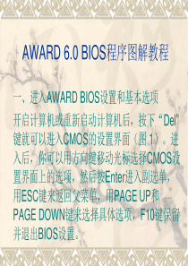 AWARD_BIOS程序图解教程