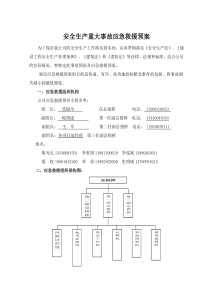 A-1-6-2.2013安全生产重大事故应急预案