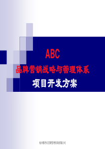 ABC营销策略与管理体系开发方案