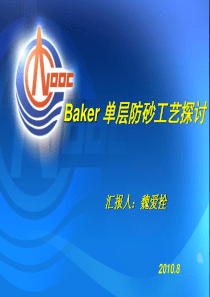 Baker单层砾石充填.