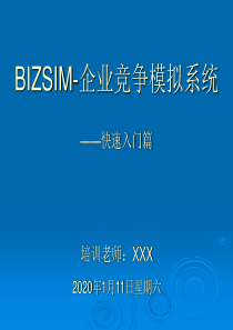 BIZSIM系统-快速入门篇