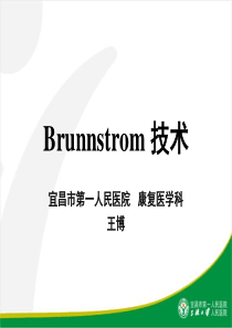 Brunnstrom_技术.