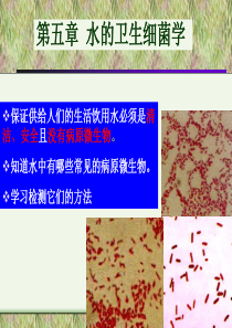 水处理微生物学 第五章 水的卫生细菌学