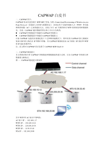 CAPWAP隧道技术白皮书