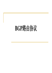 BGP路由协议交流