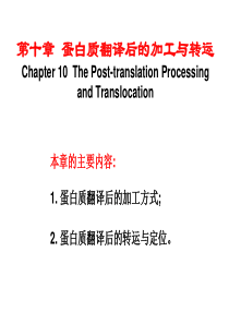 cau10ProteinProcessingandTranslocation