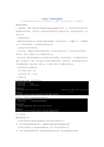 Centos6X下DNS服务器配置教程
