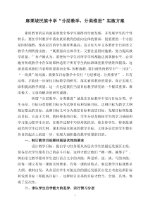 c9-2分层教学分类推进实施方案及相关材料