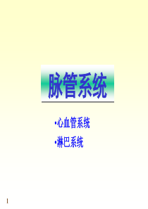 chapter11-12心血管系统08