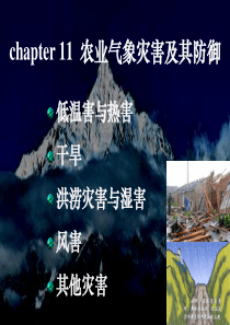 chapter11农业气象灾害及其防御.