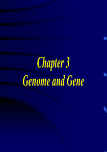 Chapter3genomeandgene.