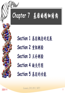 chapter6基因的精细结构.