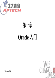 Chapter1Oracle教程