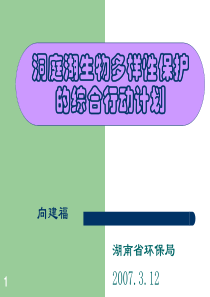 洞庭湖生物多样性保护的综合行动计划