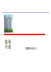 CMMI基础培训.