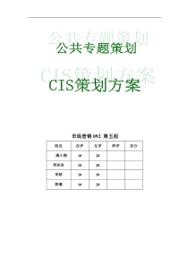 CIS策划方案