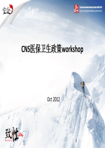 CNS医保卫生政策workshop20120913