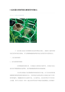 C反应蛋白在指导抗生素使用中的意义