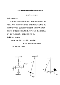 CSI振动测量和故障分析的初级培训