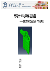 ctn高等计算力学报告